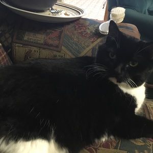 Meet your Posher, John